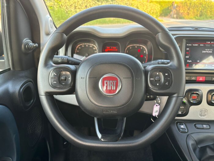 Fiat Panda 1.0 FireFly S&S Hybrid City Cross - immagine 14